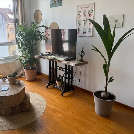 Apartment Dulce Y Sereno Piso En Oviedo